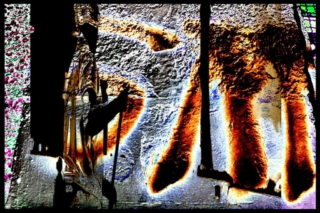 INVISIBLE After numerous conversations with street cleaners, I noticed the immense feeling of their invisibilities in the eyes of part of the population. This project tries to rescue the appreciation and dignity of these professionals still stigmatized by the general public and who daily perform functions so essential for social well-being. The graffiti art displayed on the city walls is mixed with the images of street cleaners, addressing, inequality and social exclusion from society. The photos are shot digitally and printed in B & W on cotton paper. Then, I start an interference process with dry pastel directly on the images. Then, I scan the images and superpose one image over the other in the computer. INVISÍVEIS Esta série se deu após longas conversas com garis e a estarrecedora constatação de suas visões de invisibilidade por parte da sociedade a que servem, misturadas que se encontram em meio ao lixo e às paredes grafitadas das ruas em que trabalham. Corpos negros, de mulheres “garis”, a transitarem, diariamente, pelo coalho do luxo, no limbo do lixo ...